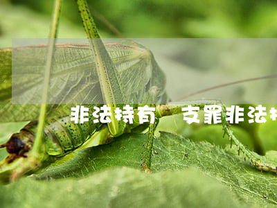 非法持有槍支罪(非法持有槍支罪犯罪類型)