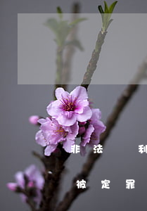 非法獲利金額是怎么算的(非法獲利多少才能被定罪)