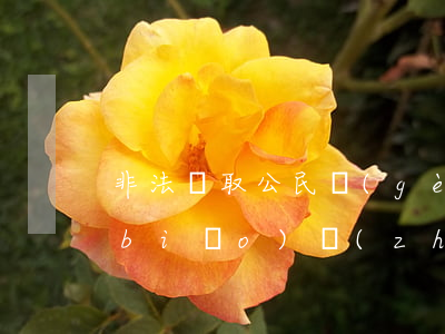 非法獲取公民個(gè)人信息罪立案標(biāo)準(zhǔn)_2021非法獲取公民個(gè)人信息罪量刑標(biāo)準(zhǔn)和認(rèn)定構(gòu)成要件