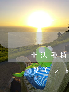 非法種植毒品原植物罪立案標(biāo)準(zhǔn)_2021非法種植毒品原植物罪量刑標(biāo)準(zhǔn)和認(rèn)定構(gòu)成要件