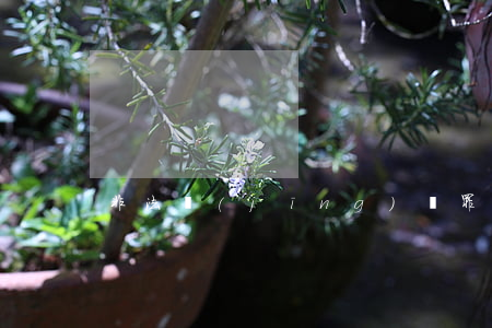 非法經(jīng)營罪是什么