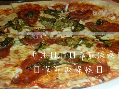非法經營煙草取保候審后會怎么判(非法經營煙草罪取保候審)