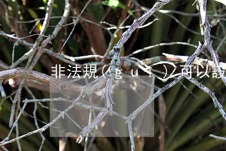 非法規(guī)可以設(shè)條款嗎