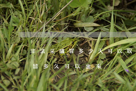 非法采礦罪多少天可以取保(非法采礦刑事拘留多久可以出來)