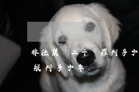非法集資二千萬罪判多少年(非法集資2億一般判多少年)