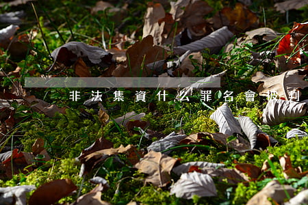 非法集資什么罪名會被判刑