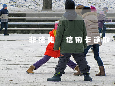 非法集資信用卡逾期