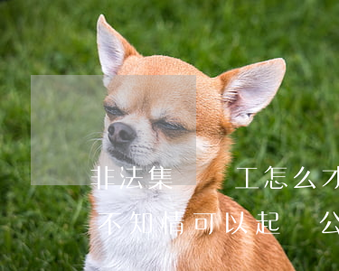 非法集資員工怎么才算不知情(非法集資員工不知情可以起訴公司嗎)