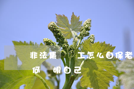 非法集資員工怎么自保(老板非法集資員工如何證明自己)