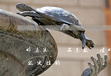 非法集資員工怎么處理(非法集資的員工是怎么定性的)