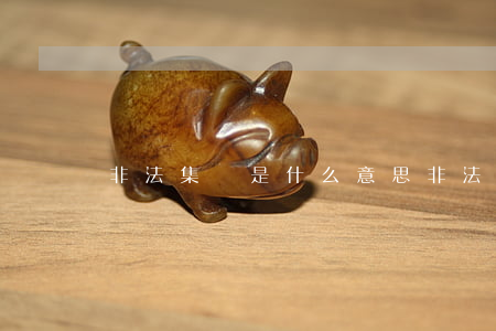 非法集資是什么意思(非法集資指的什么)