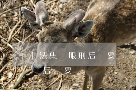 非法集資服刑后還要還錢嗎(非法集資坐牢出來后錢要還嗎)