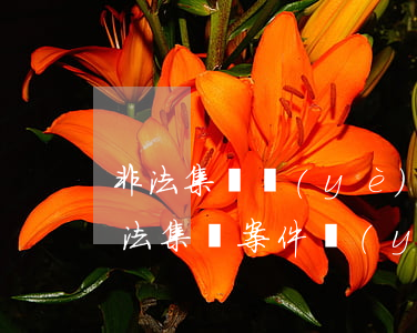非法集資業(yè)務(wù)員怎么判(非法集資案件業(yè)務(wù)員)
