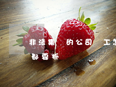 非法集資的公司員工怎么處罰(非法集資員工都要抓嗎)