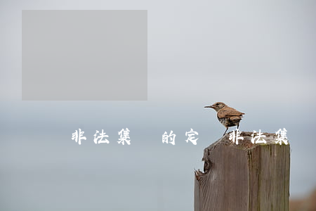 非法集資的定義(非法集資的定義三要件)