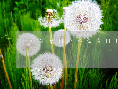 非法集資罪的立案標準