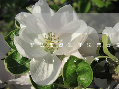 非法集資罪(非法集資罪的認(rèn)定標(biāo)準(zhǔn))