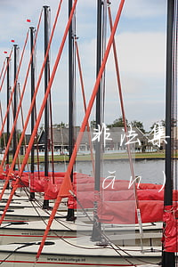 非法集資類犯罪的辯護(hù)要點(diǎn)