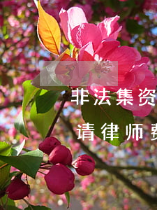 非法集资请律师费用一般是多少钱(非法集资请律师费用一般是多少钱)