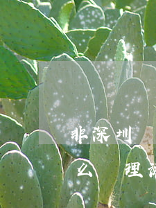 非深圳戶口辦理港澳通行證(外地人在深圳怎么辦理港澳通行證)