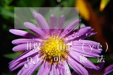 非煤礦礦山企業(yè)安全生產(chǎn)許可證實施辦法