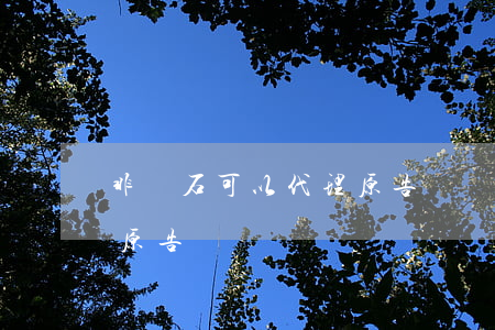 非爐石可以代理原告訴訟嗎(非爐石可以代理原告訴訟嗎)