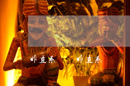 非直系親屬(非直系親屬)