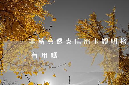 非蓄意透支信用卡證明格式(非惡意透支證明有用嗎)