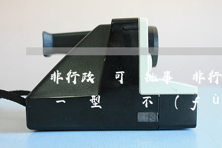 非行政許可審批事項(非行政許可審批事項這一類型將會不復(fù)存在)