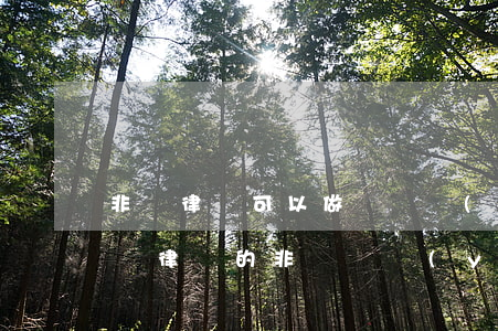 非訴律師可以做訴訟業(yè)務(wù)嗎(律師的非訴訟業(yè)務(wù)包括哪些)