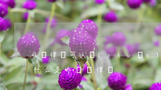 非訴律師可以轉(zhuǎn)訴訟律師嗎(什么是非訴訟律師)