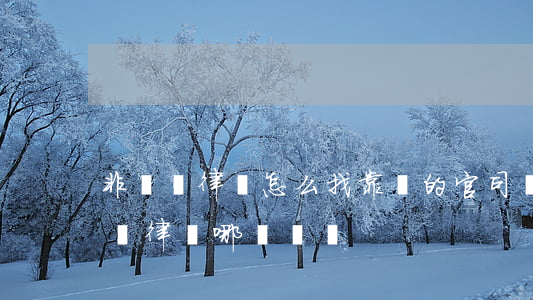 非訴訟律師怎么找靠譜的官司(訴訟律師和非訴律師哪個賺錢)