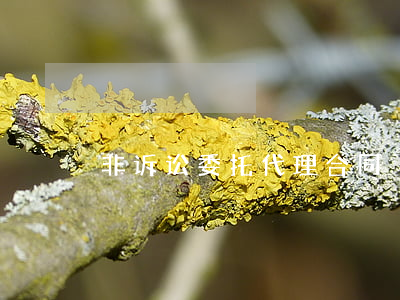 非诉讼委托代理合同