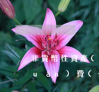 非貨幣性資產(chǎn)交換之相關(guān)費(fèi)用的會(huì)計(jì)如何處理
