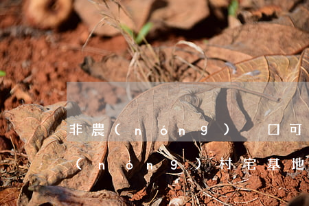 非農(nóng)戶口可以繼承宅基地嗎(農(nóng)村宅基地可以由非農(nóng)業(yè)戶口子女繼承嗎)