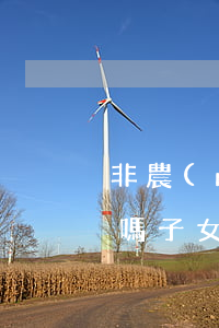 非農(nóng)業(yè)能繼承宅基地嗎(子女是非農(nóng)業(yè)能繼承宅基地嗎)