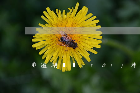 非逾期狀態(tài)(非逾期是什么意思)