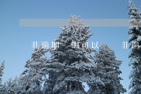 非逾期證明可以證實(非逾期證明可以證實)