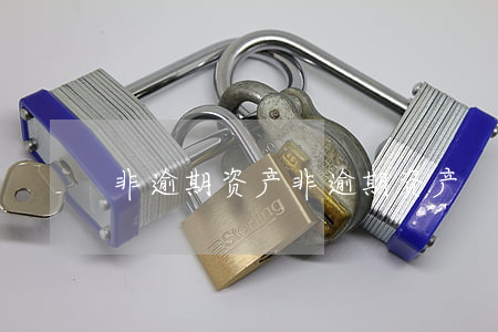 非逾期资产 非逾期资产