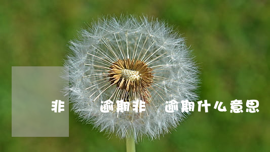非銀類逾期(非銀逾期什么意思)