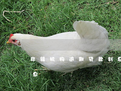 非银机构逾期贷款利息(非银机构逾期贷款利息)