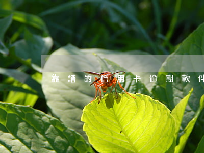 靠譜的信用卡逾期軟件