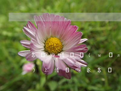 靠譜的借錢網(wǎng)站(網(wǎng)上借錢哪家靠譜)