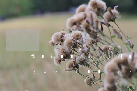 靠譜的債務(wù)律師團(tuán)隊(duì) 債務(wù)糾紛最好的律師事務(wù)所