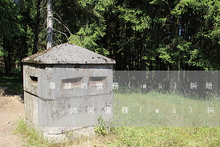 靠譜的債務(wù)糾紛律師平臺(tái)如何(債務(wù)糾紛律師收費(fèi)標(biāo)準(zhǔn)和方式)