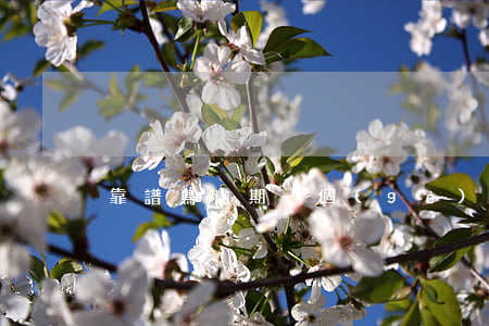 靠譜鳥逾期一個(gè)月