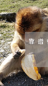 靠谱律师怎么找(怎么找到一个靠谱的律师)