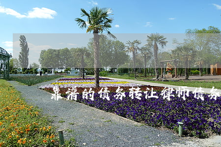 靠谱的债务转让律师(债务转让怎么收费)