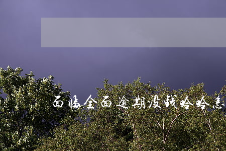 面临全面逾期没钱哈哈怎么办(我全面逾期了)