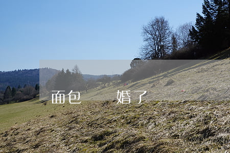 面包嬸離婚了嗎